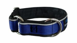 Dog collar | Padded with reflective stripe