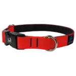 - Collier pour chien | Rembourré avec clip -