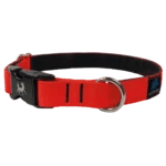 - Collier pour chien | Rembourré avec clip -