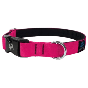 Ligne bungee pour bikejoring