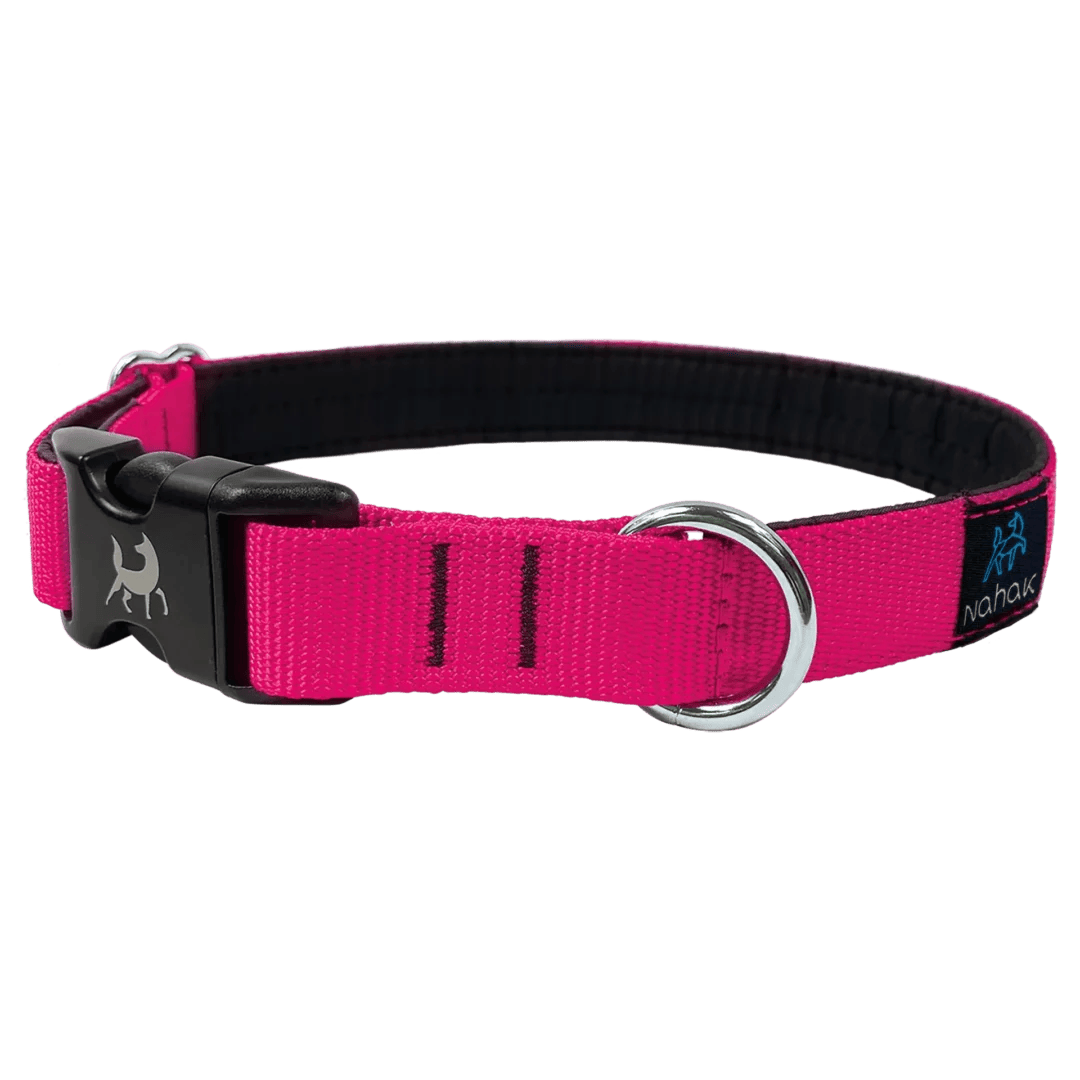 Collier pour chiens | Rembourré avec clip