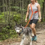 Dog leash | Multifunctional