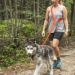 Dog leash | Multifunctional