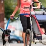 Dog leash | Multifunctional