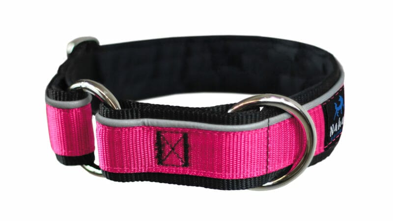 Dog collar | Padded with reflective stripe