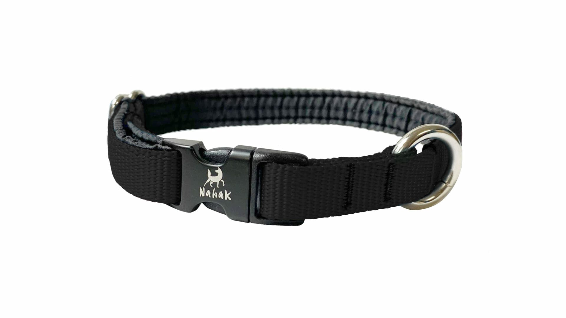 Dog collar for small dog | Padded with clip
