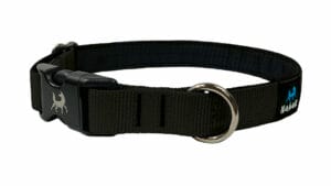 Dog collar | Padded with clip
