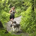 Hybrid traction belt