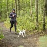 Multifunctional belt