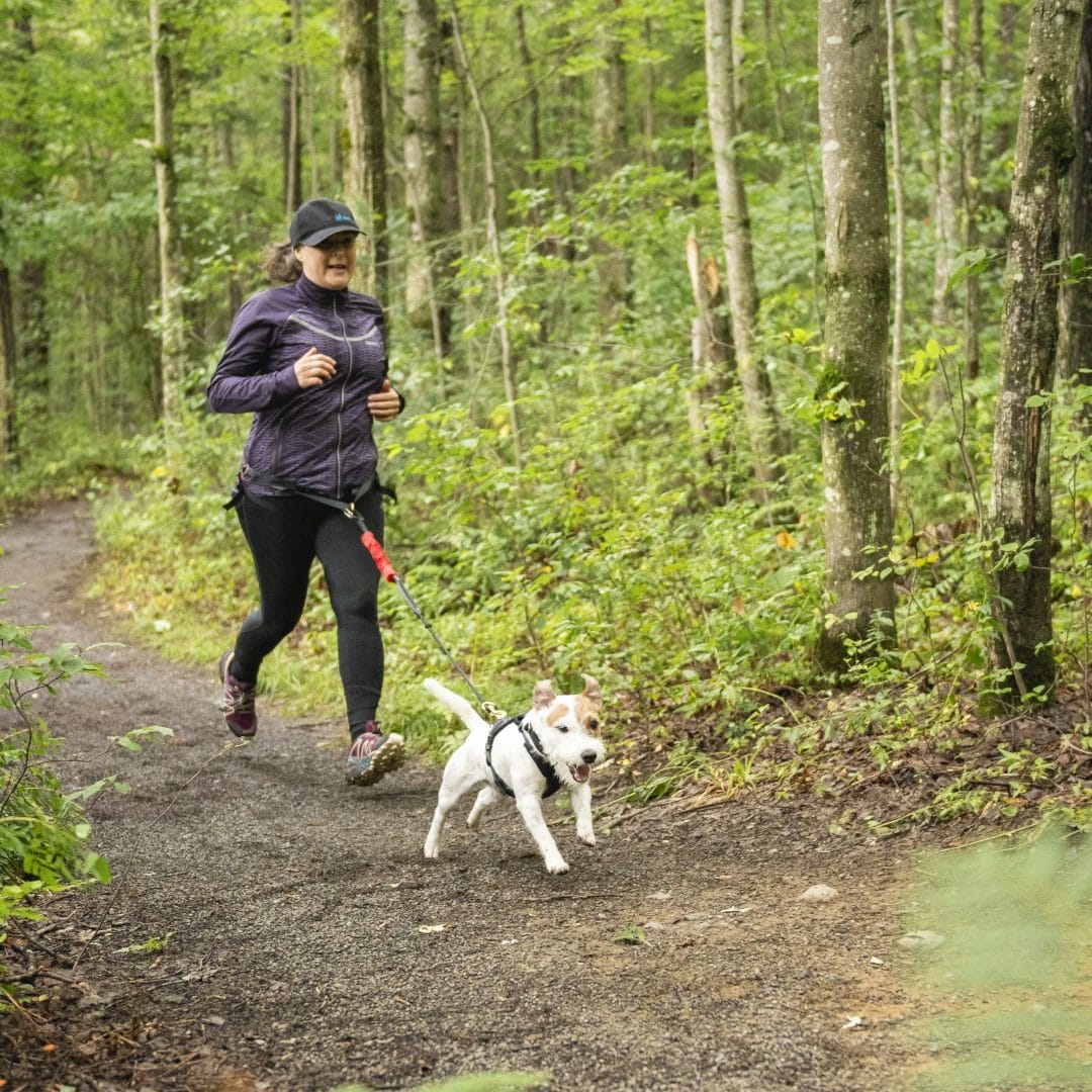Multifunctional belt
