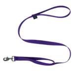 Laisse pour chien | Double poignées