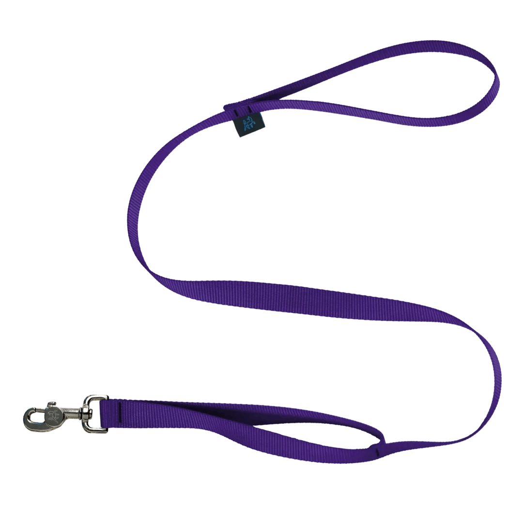 Laisse pour chien | Double poignées