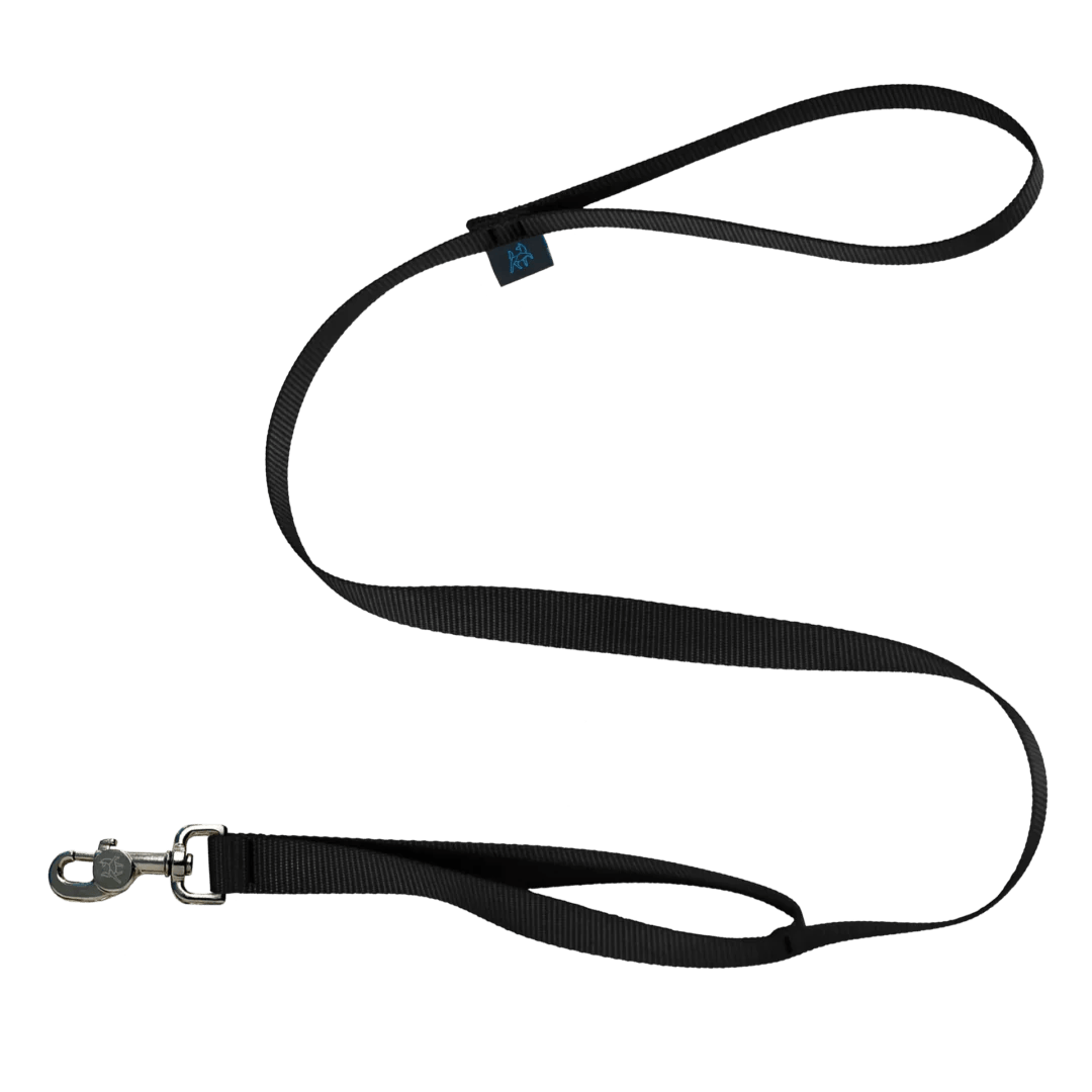 Laisse pour chien | Double poignées