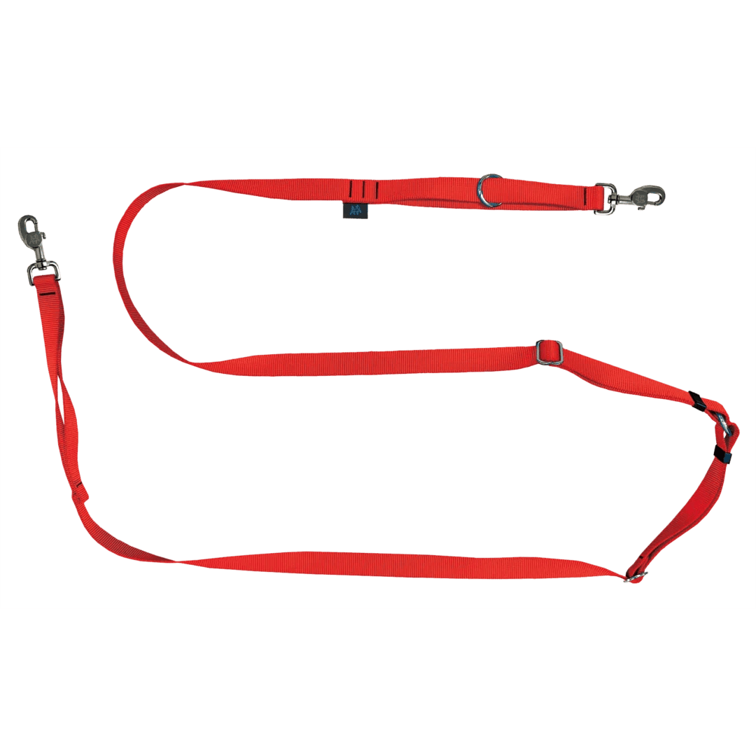 Dog leash | Multifunctional