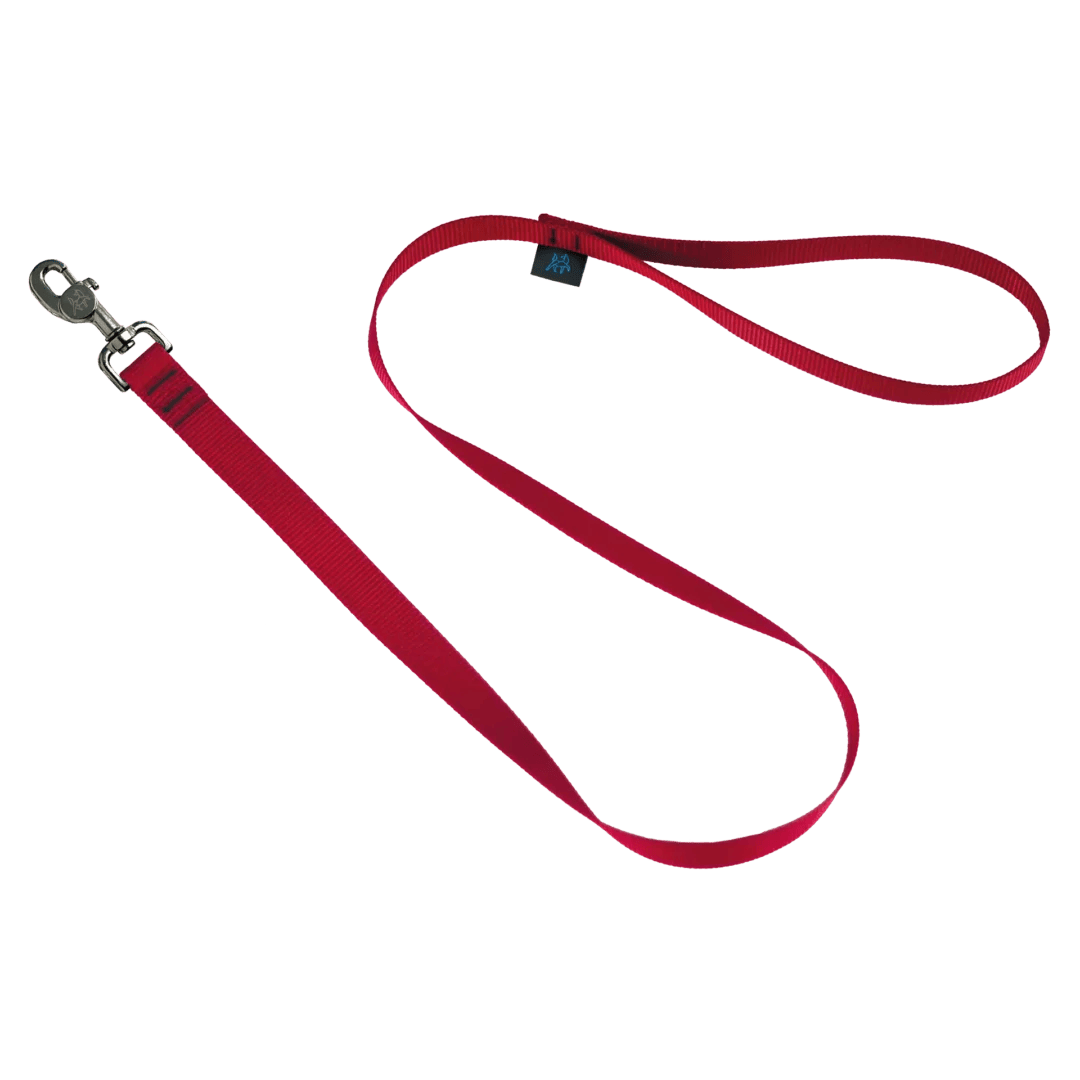 Dog leash
