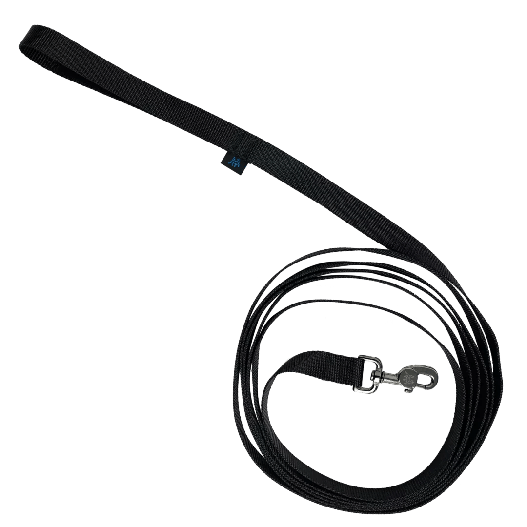 Longe pour chien | 15'