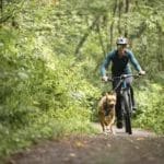 Bikejoring bungee line