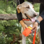 Dog boot | Dirt surface