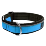 Dog collar | Padded with reflective