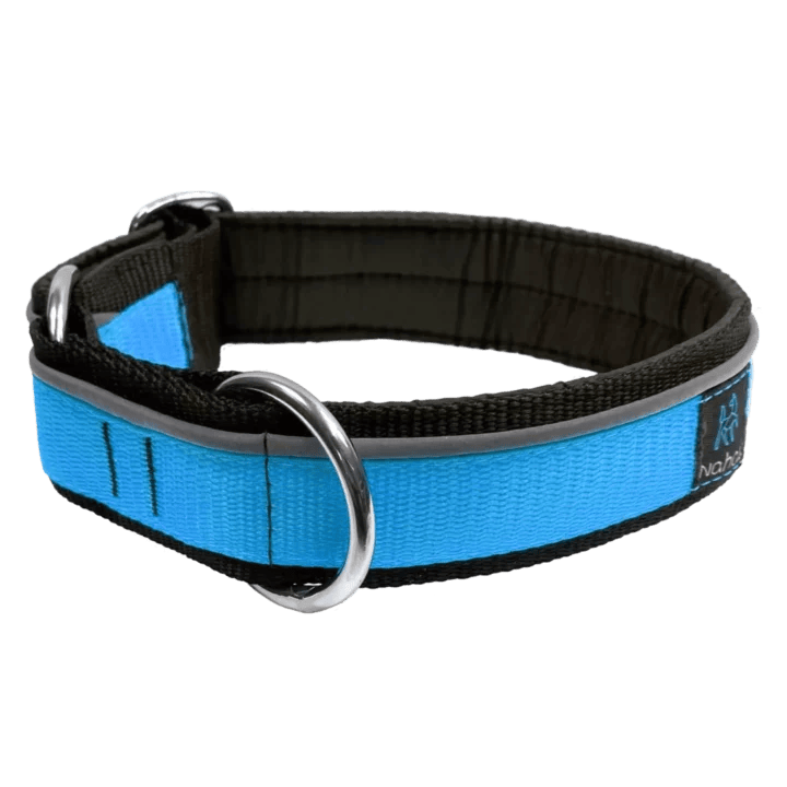 Dog collar | Reflective