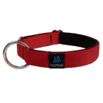 Dog collar | Harness sports