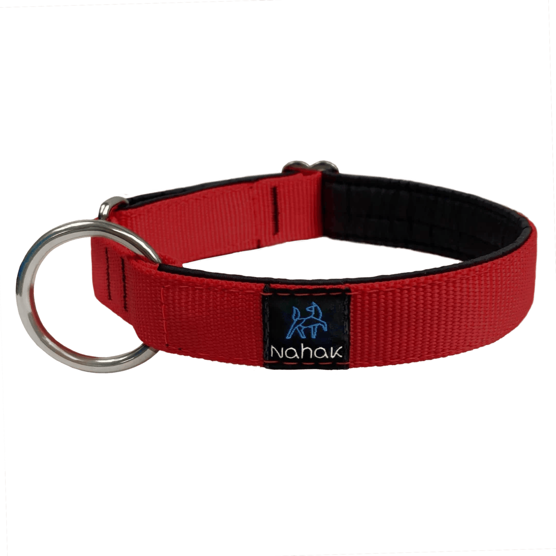 Dog collar | Harness sports