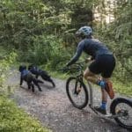 Bungee line extension