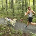 separateur Bungee line splitter