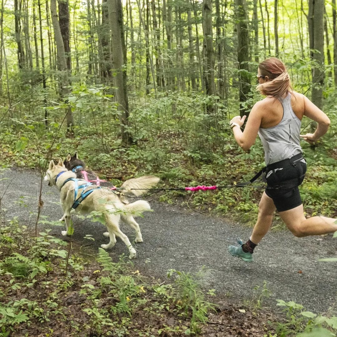 separateur Bungee line splitter