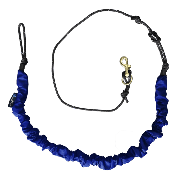 BikejoWebBleu Bikejoring bungee line