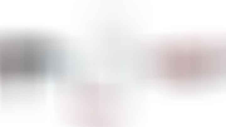 24BundleSkijoMultiNew Ensemble skijoring - 1 chien - Ceinture multifonction | Harnais de traction