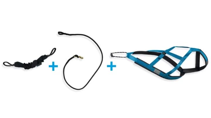 Ensemble trottinette des neiges - 1 chien