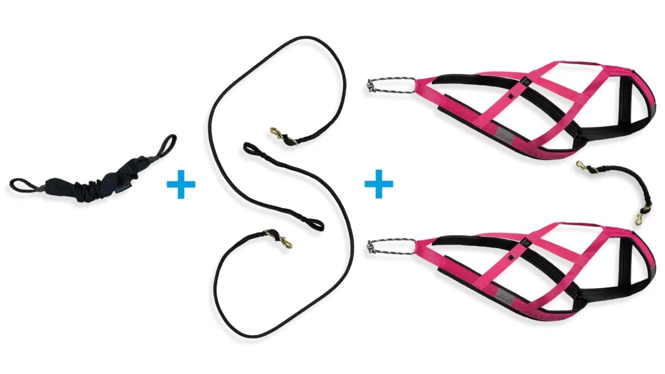 Kicksledding kit - 2 dogs | Nahak