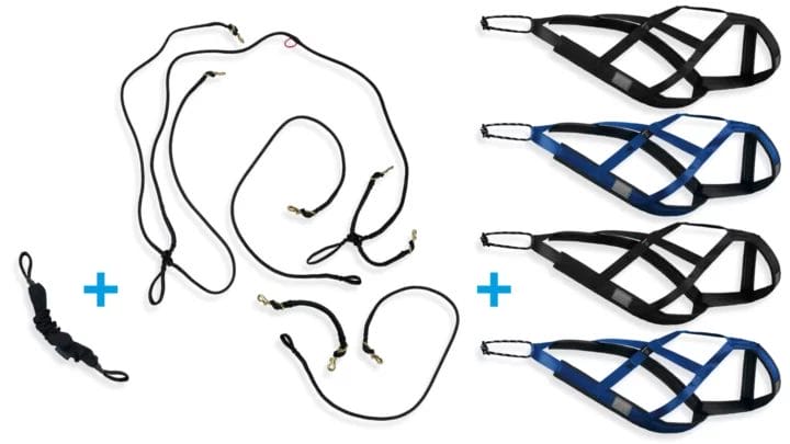 Dogsled kit - 4 dogs