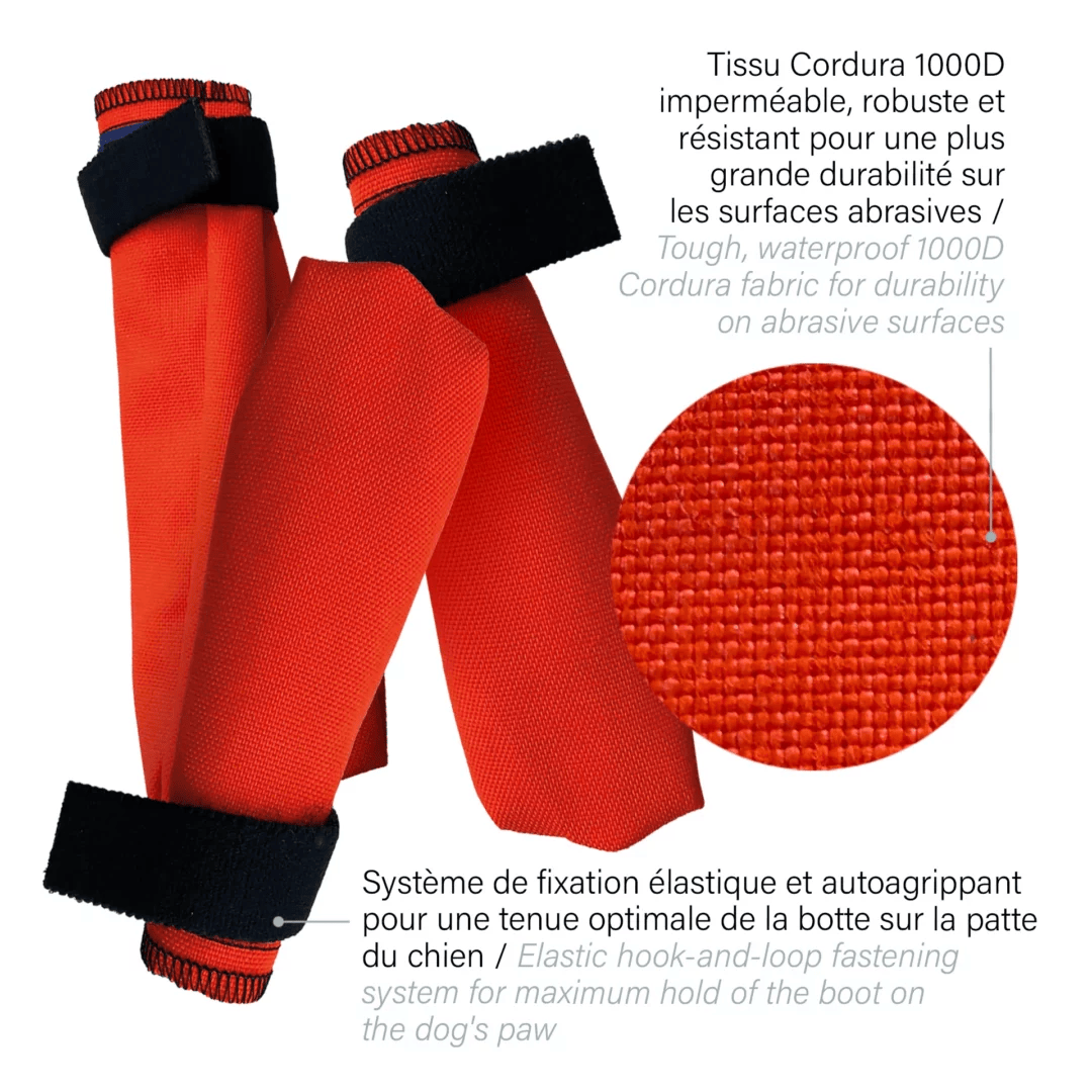 botteTechTerre Dog boot | Dirt surface