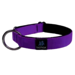 - Collier pour chien | Rembourré -