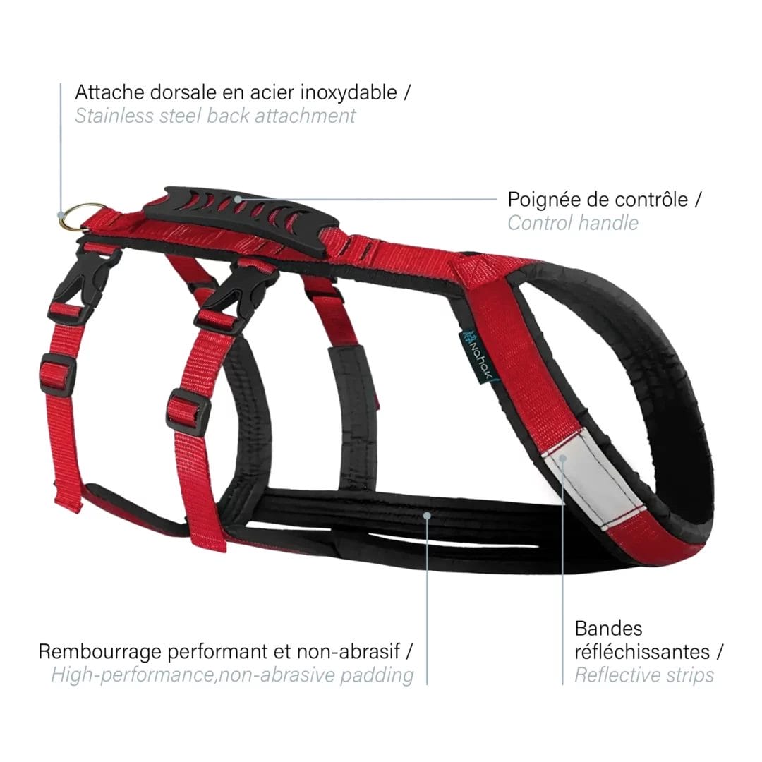 Hybrid dog harness