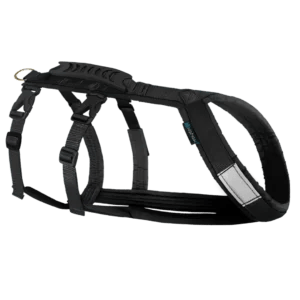 Dog sled bungee