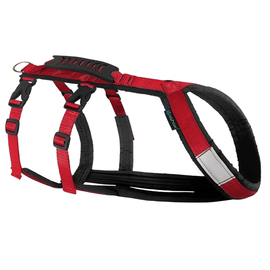 Hybrid dog harness