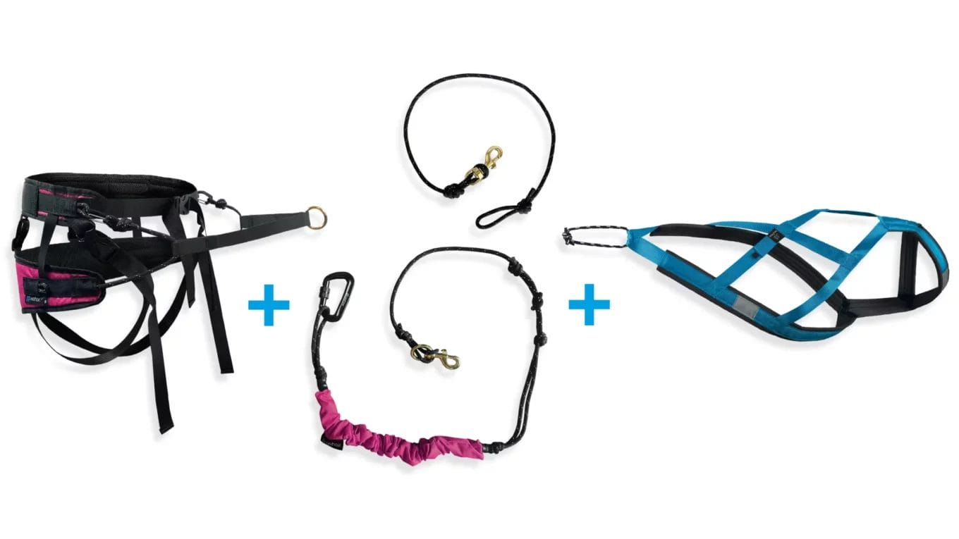 Ensemble skijoring - 1 chien - Ceinture de traction hybride | Harnais de traction