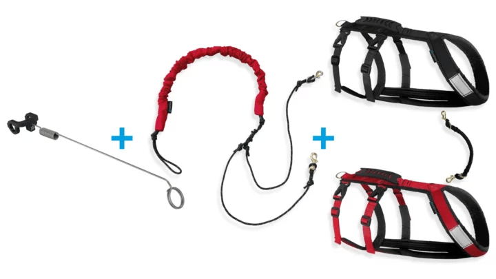 Ensemble bikejoring - 2 chiens | Harnais hybride