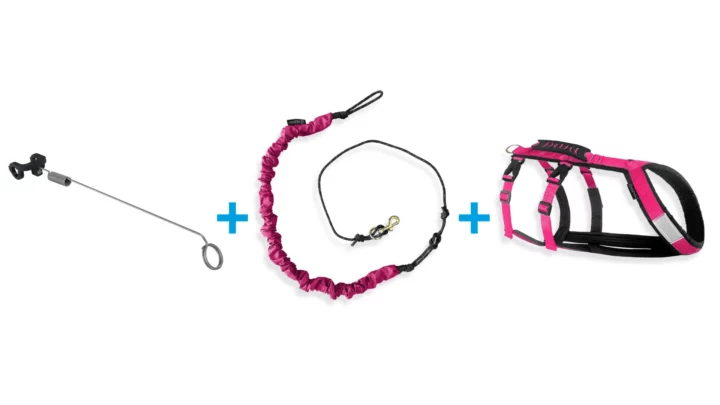 Ensemble bikejoring - 1 chien | Harnais hybride