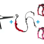 Ensemble canicross - 2 chiens | Harnais hybride