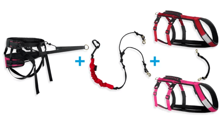 25BundleCaniDoubHybHarnHyb Ensemble canicross - 2 chiens | Harnais hybride