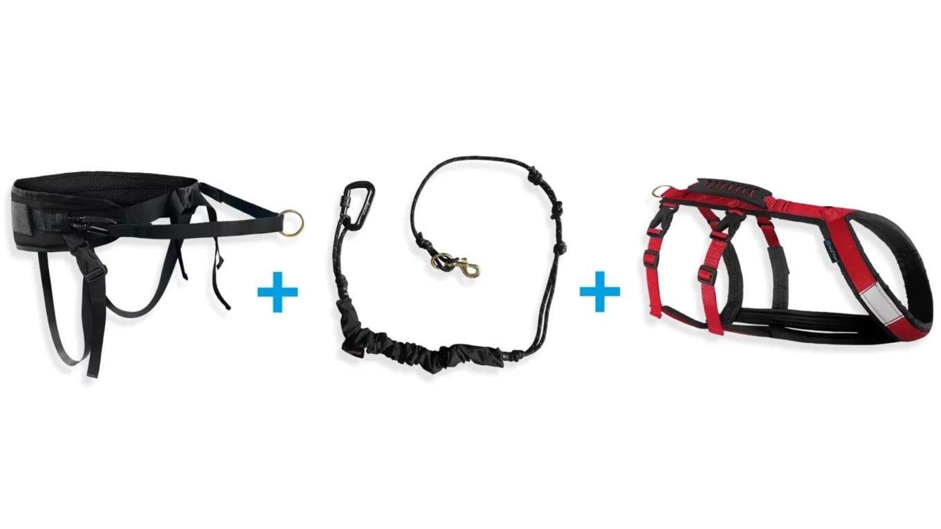Ensemble canicross - 1 chien - Ceinture multifonction | Harnais hybride