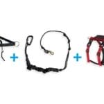 Ensemble canicross - 1 chien - Ceinture multifonction | Harnais hybride