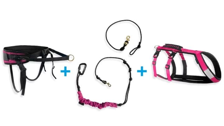 25BundleSkijoMultiHarnHyb Ensemble skijoring - 1 chien - Ceinture multifonction | Harnais hybride
